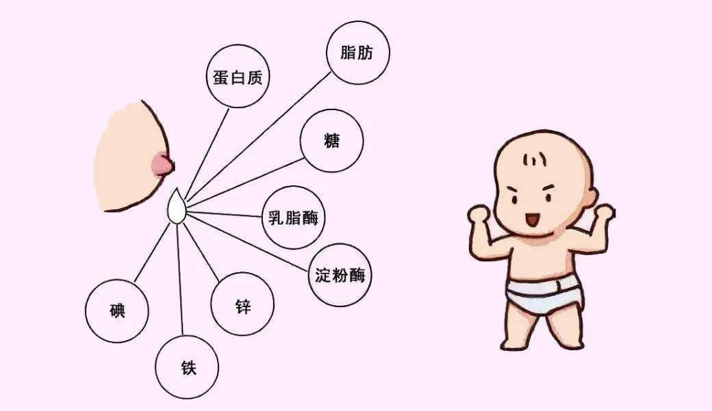 那些关于母乳喂养的谣言,你知道吗?