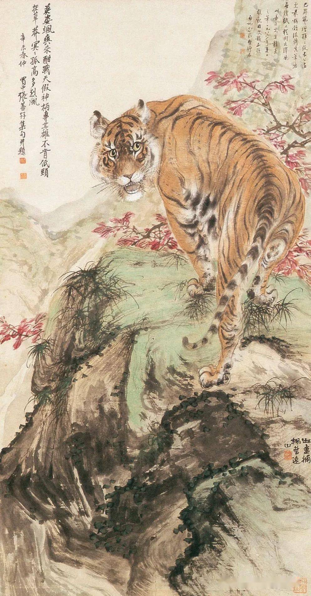 张善孖:中国画虎第一人,张大千为他立誓不画虎!(100副
