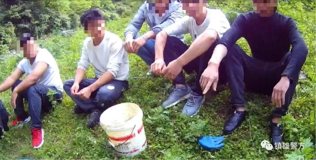 117条鱼云南镇雄5人将被判刑