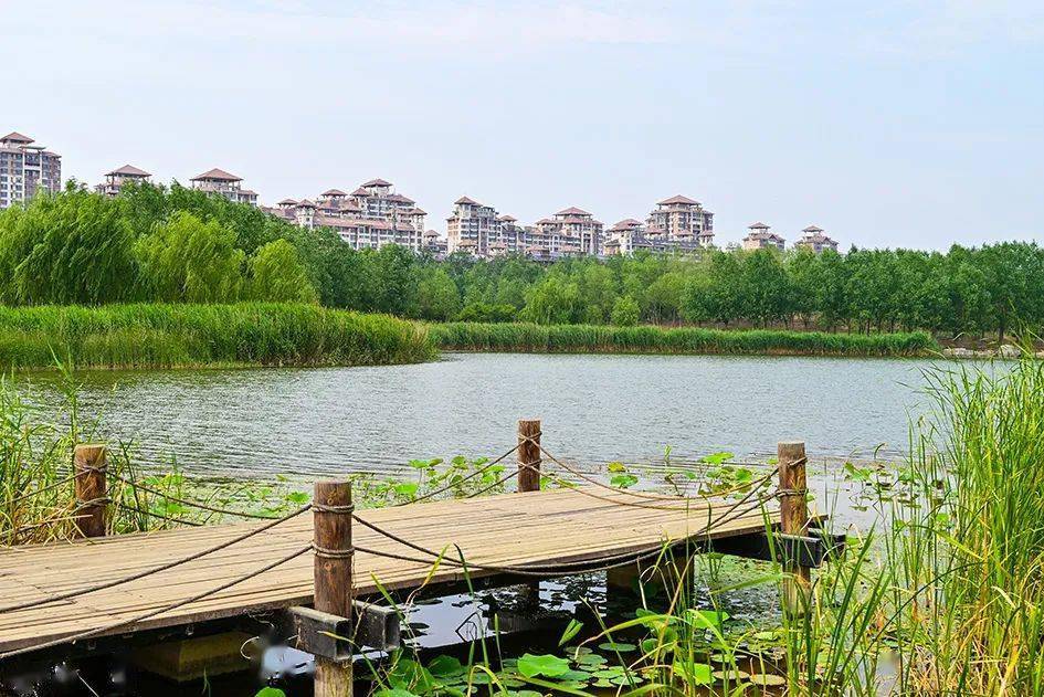 好一处江南水乡,就在马家湾湿地公园!别有景致!