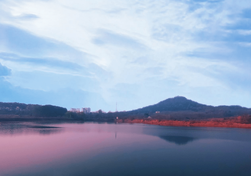 乡村旅游到庐江|发现美,邂逅金牛初夏时光