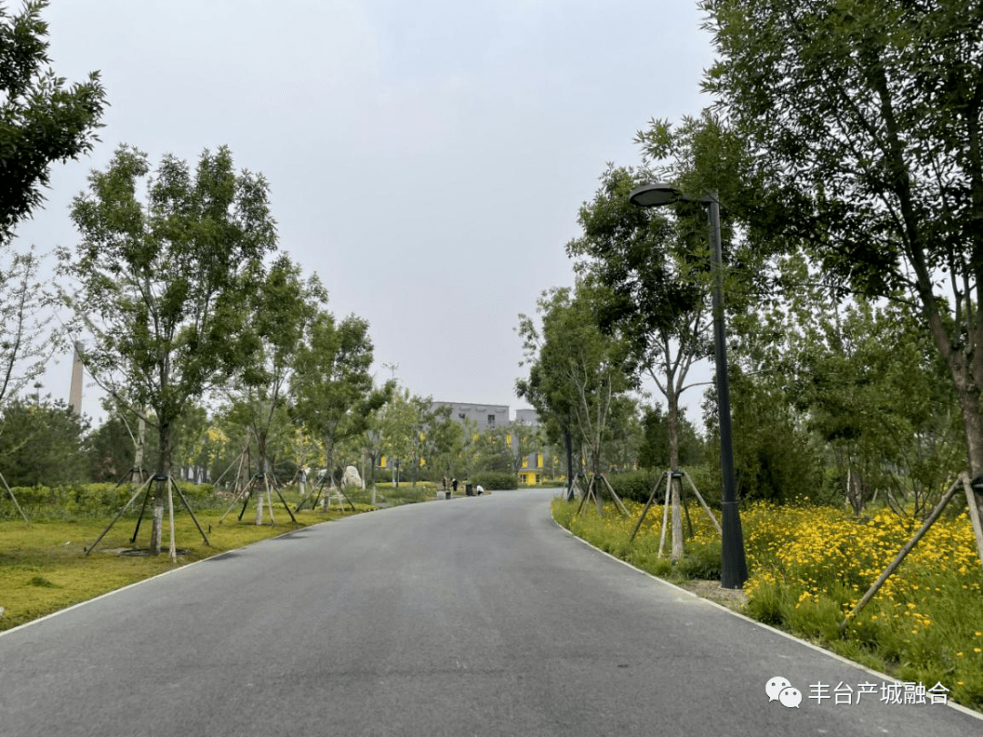 学习借鉴 中心调研城市绿心森林公园