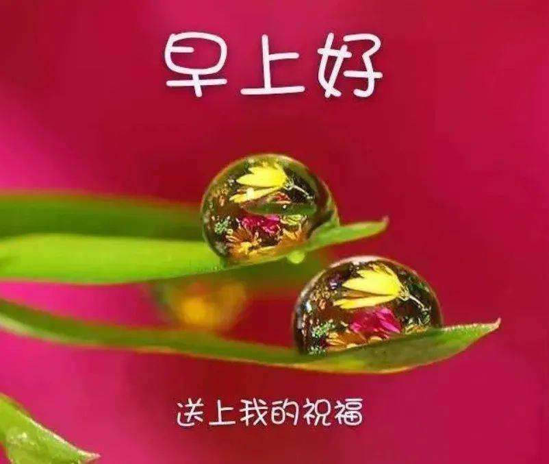 牵挂是思念;友情永不变