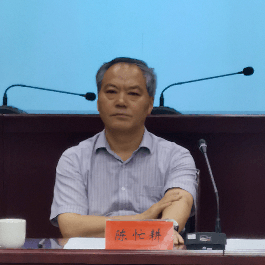 陈忙耕指出