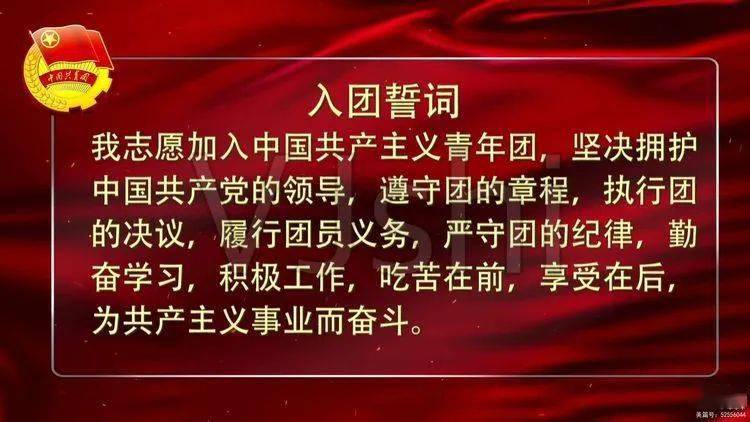 第四项:入团宣誓04老团员为新团员颁发团证,并佩戴团徽.