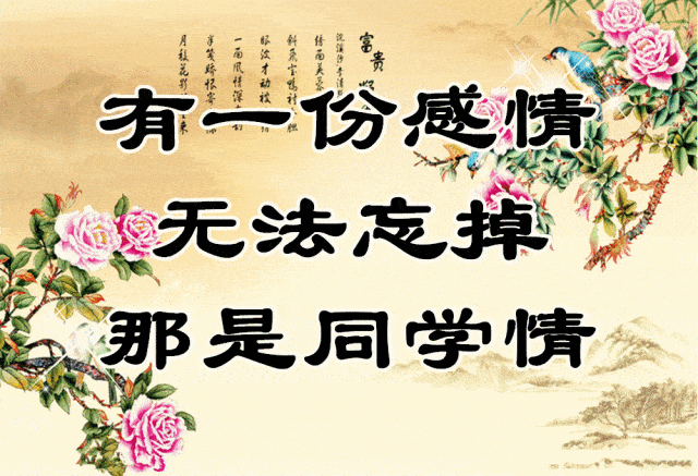 难忘同学情:早安!老同学!