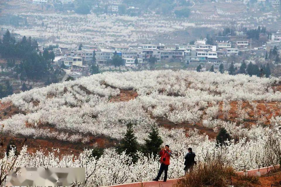 陶营村农旅一体化绘就致富路