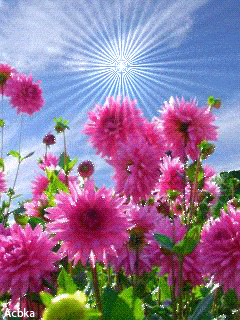 240_320 竖版 竖屏 