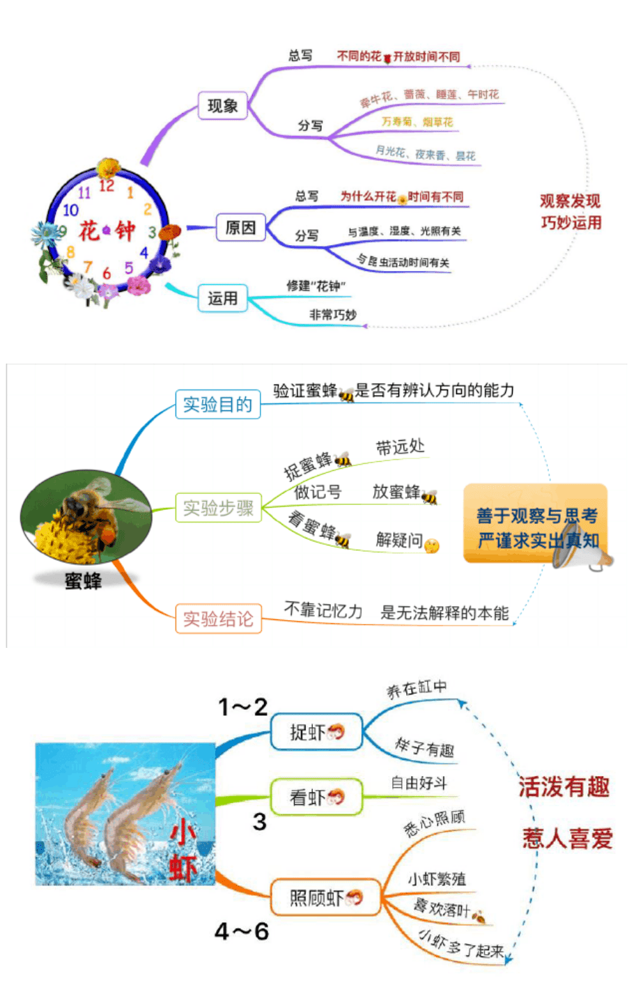 部编版小学三年级语文下册课文写作思维导图汇总期末轻松复习