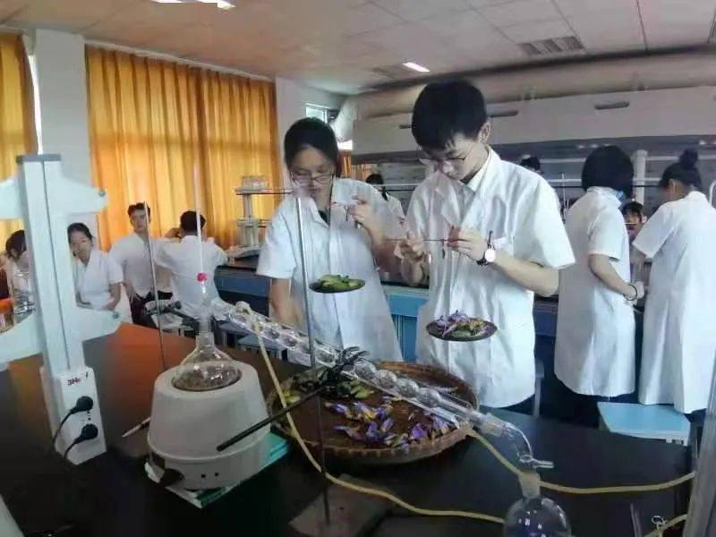 金华市中考招生直播咨询明日6月23号上线学校浙江省永康卫生学校
