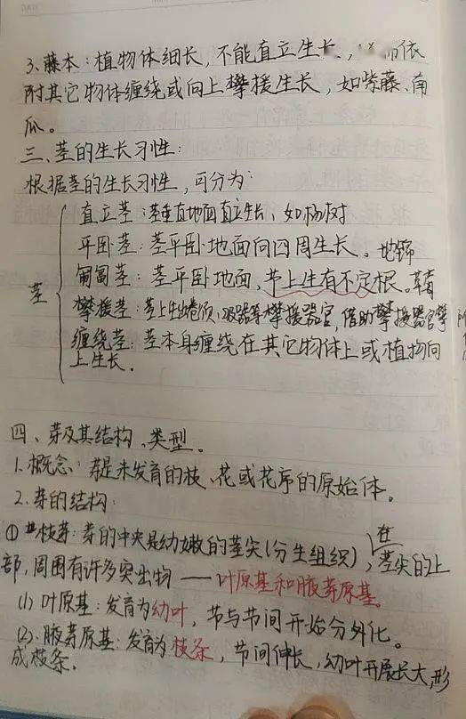 初一生物教案课后指导意见_初一生物下册教案_初一生物教案下载