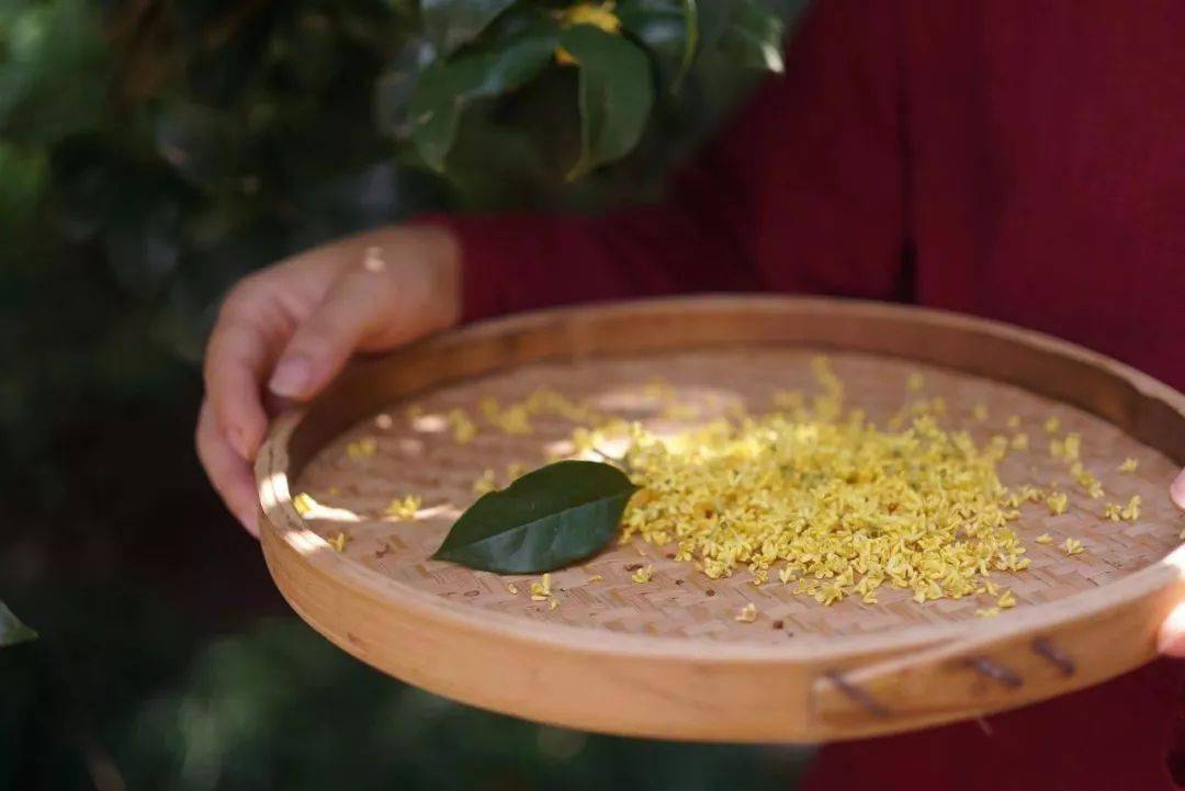 药草香 来自搜狐网