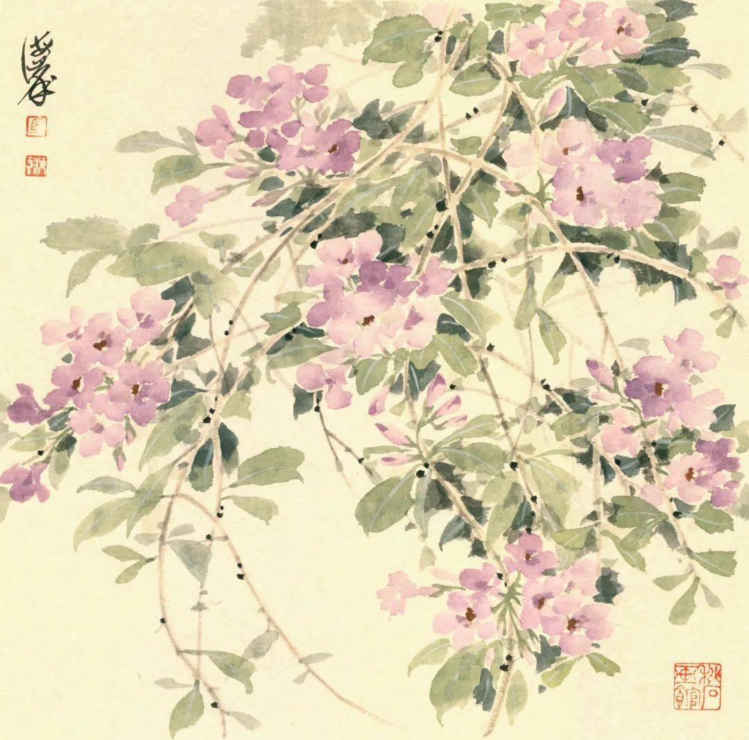 45缫丝花44黄瓜花43长春花42千日红41鸡蛋花40迎春花39大花蕙兰38茄子