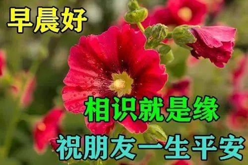 6月23日最漂亮早上好动态表情图片大全早上好动图美图大全