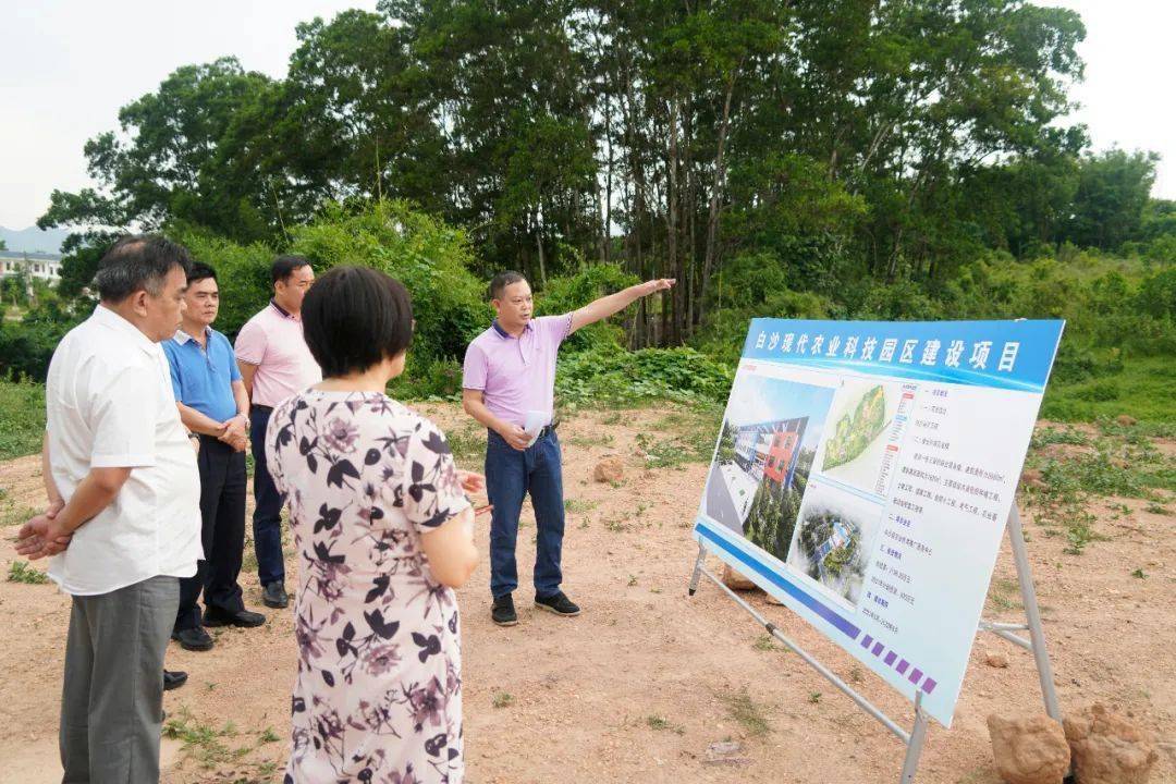 省调研组到白沙调研三服务工作机制推进情况