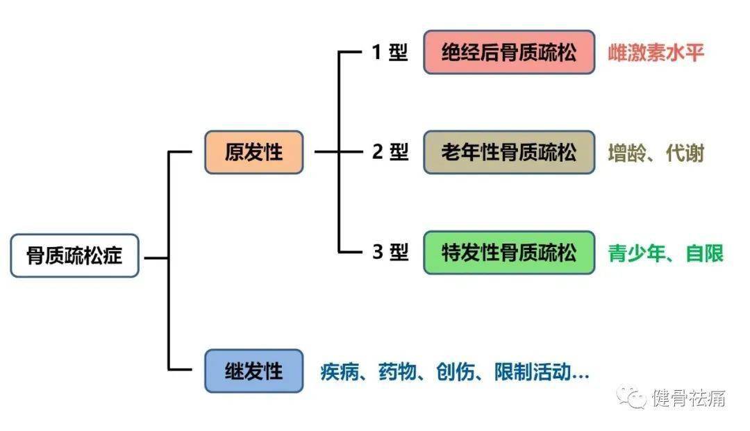 骨质疏松症分类示意图