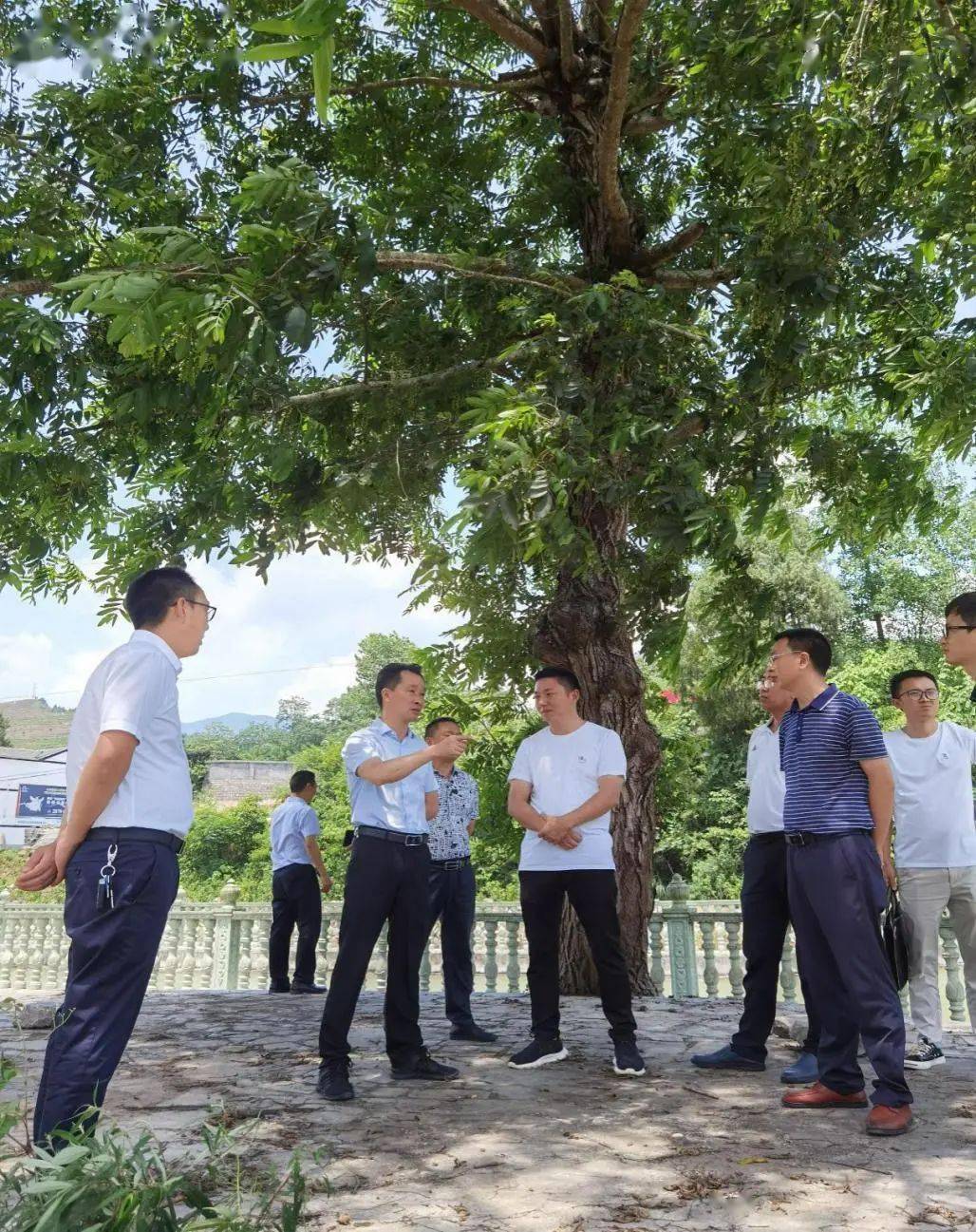 市林业局党组书记,局长程劲松到道真县开展专题调研并