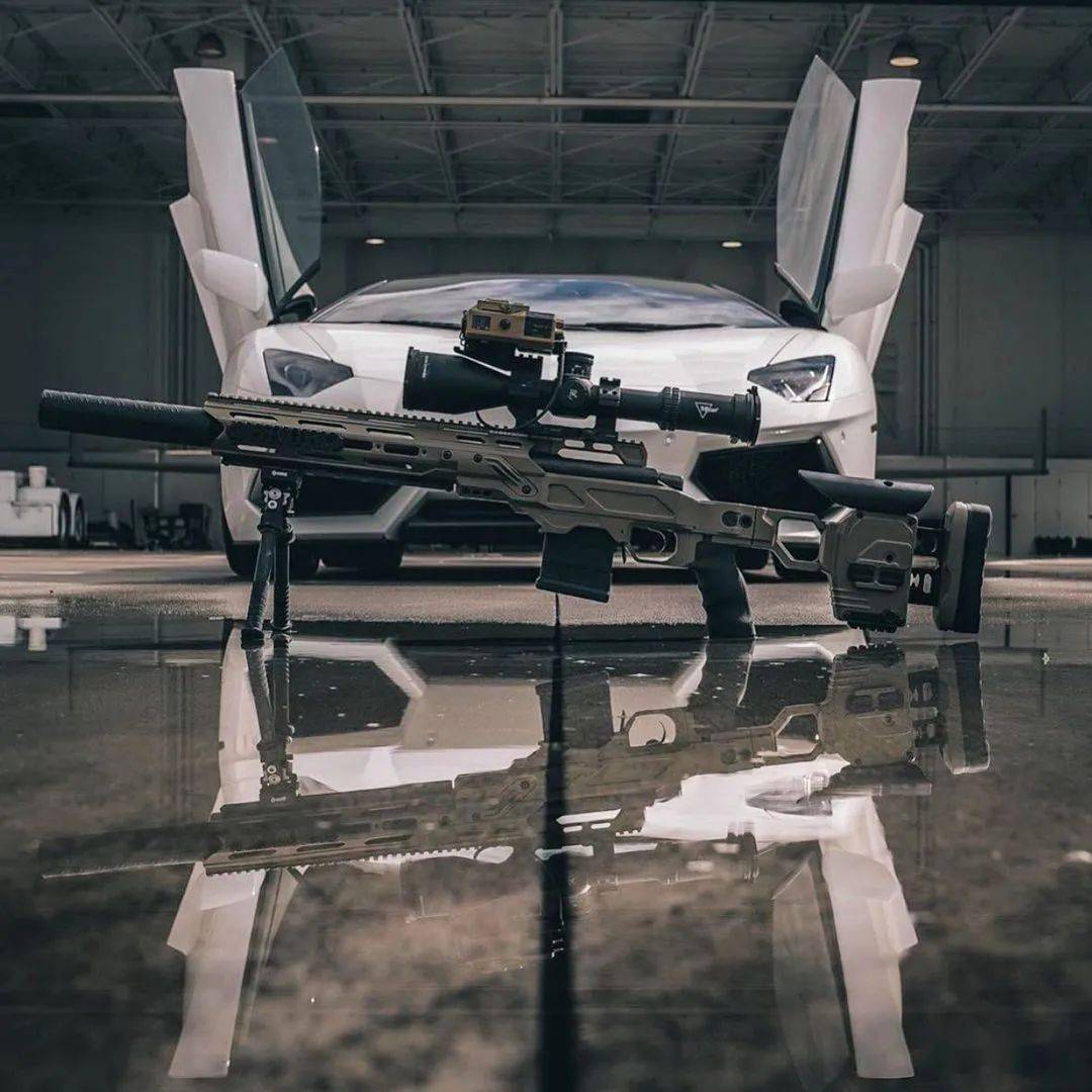 远程打击cadexdefence狙击步枪美图