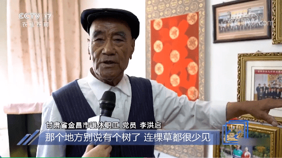 央视关注金昌老党员李洪启和他的洪启林登上cctv17中国三农报道
