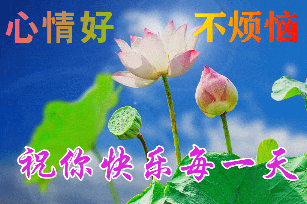 8张早上好动态图片表情带字和鲜花,好看的夏日早安问候语配动态鲜花