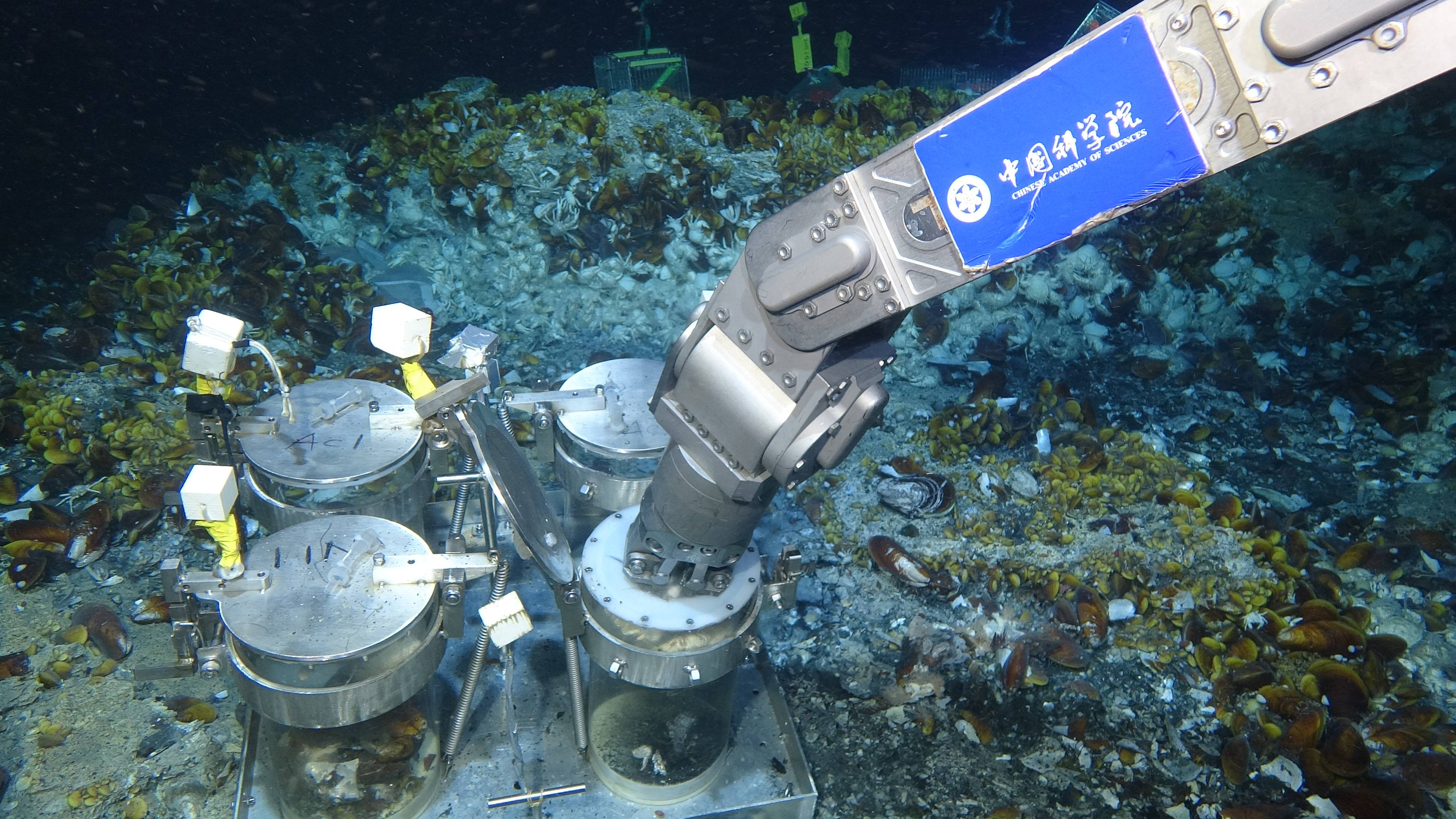 "科学"号科考船的科研人员开展深海生物原位固定实验(2021年6月摄.