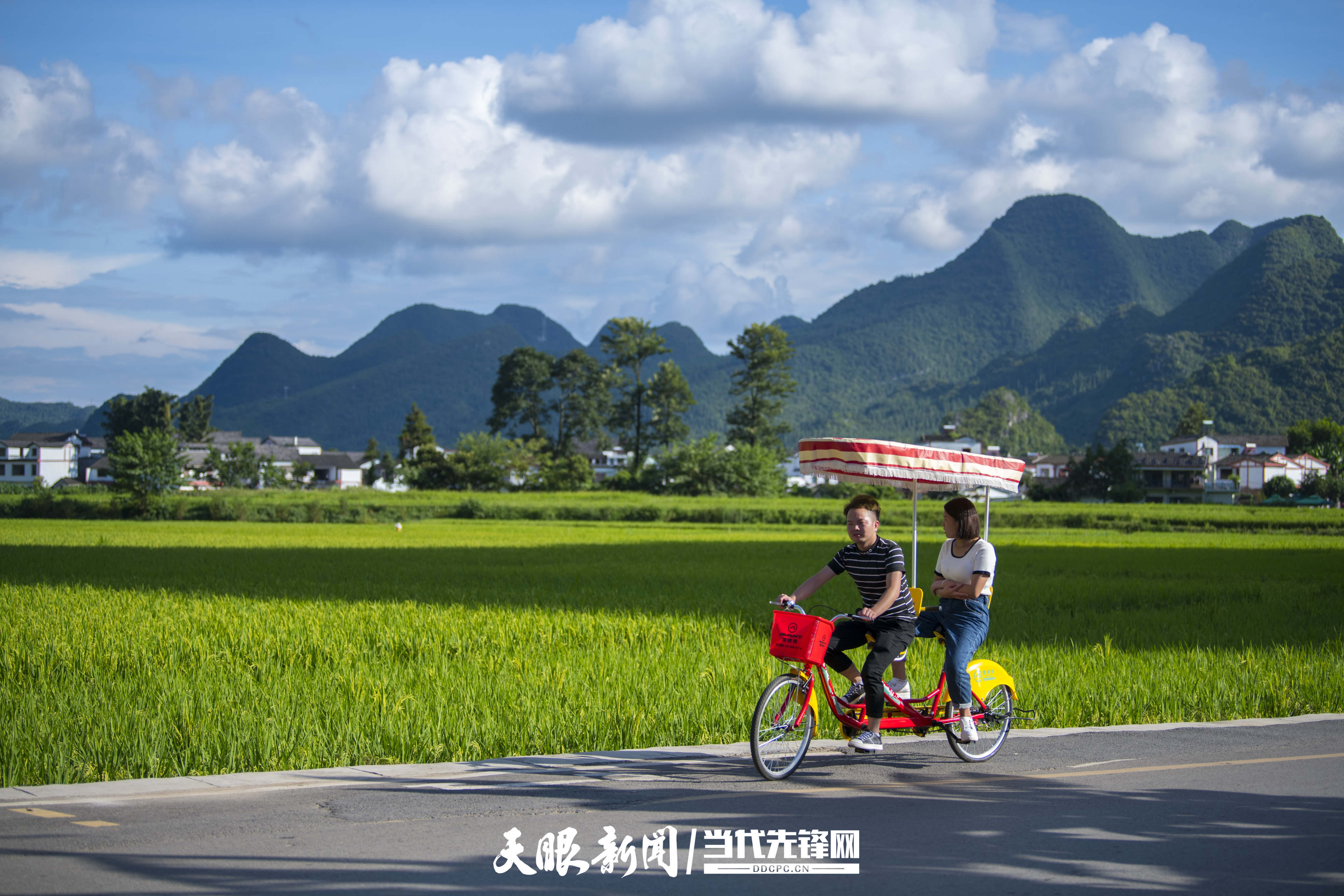 游客在万峰林景区骑行游玩