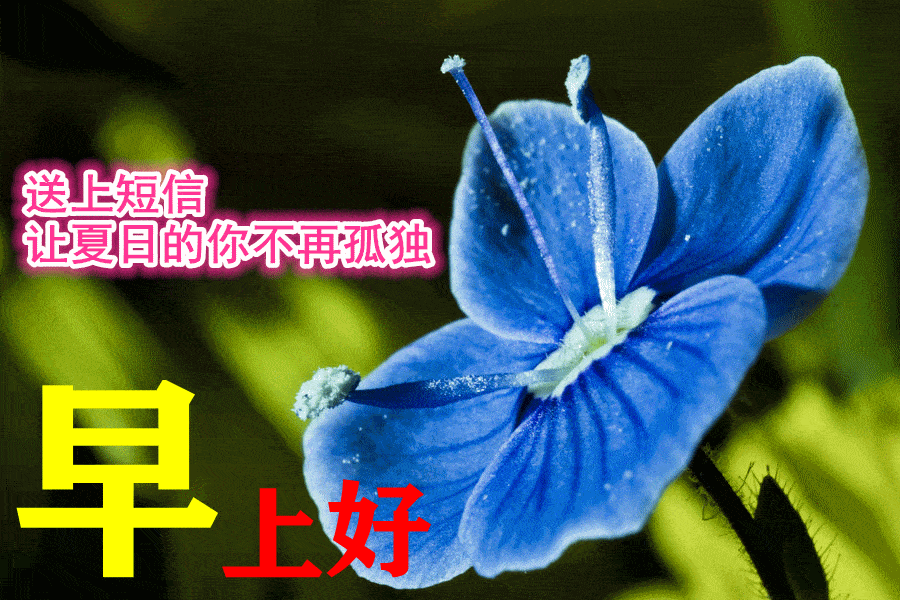 6月30日最漂亮早上好动态表情图片大全早晨好动图美图大全