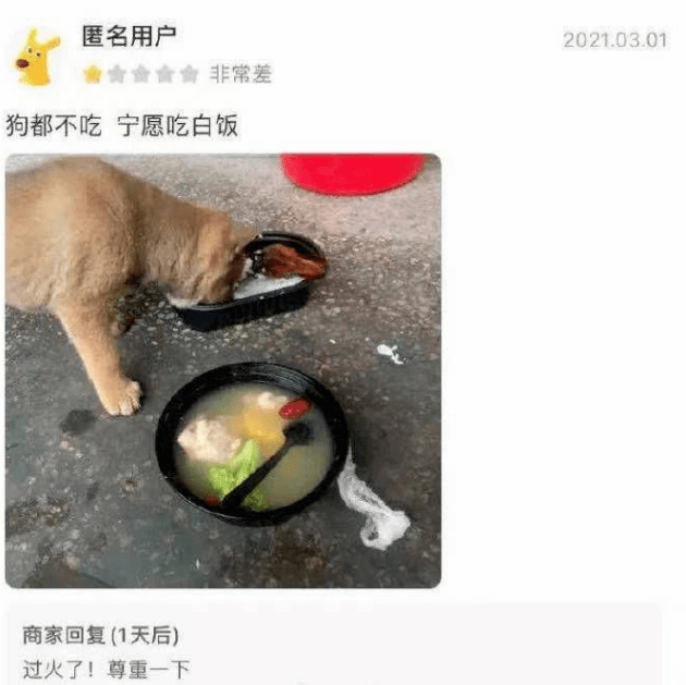 狗都不吃,宁愿吃白饭