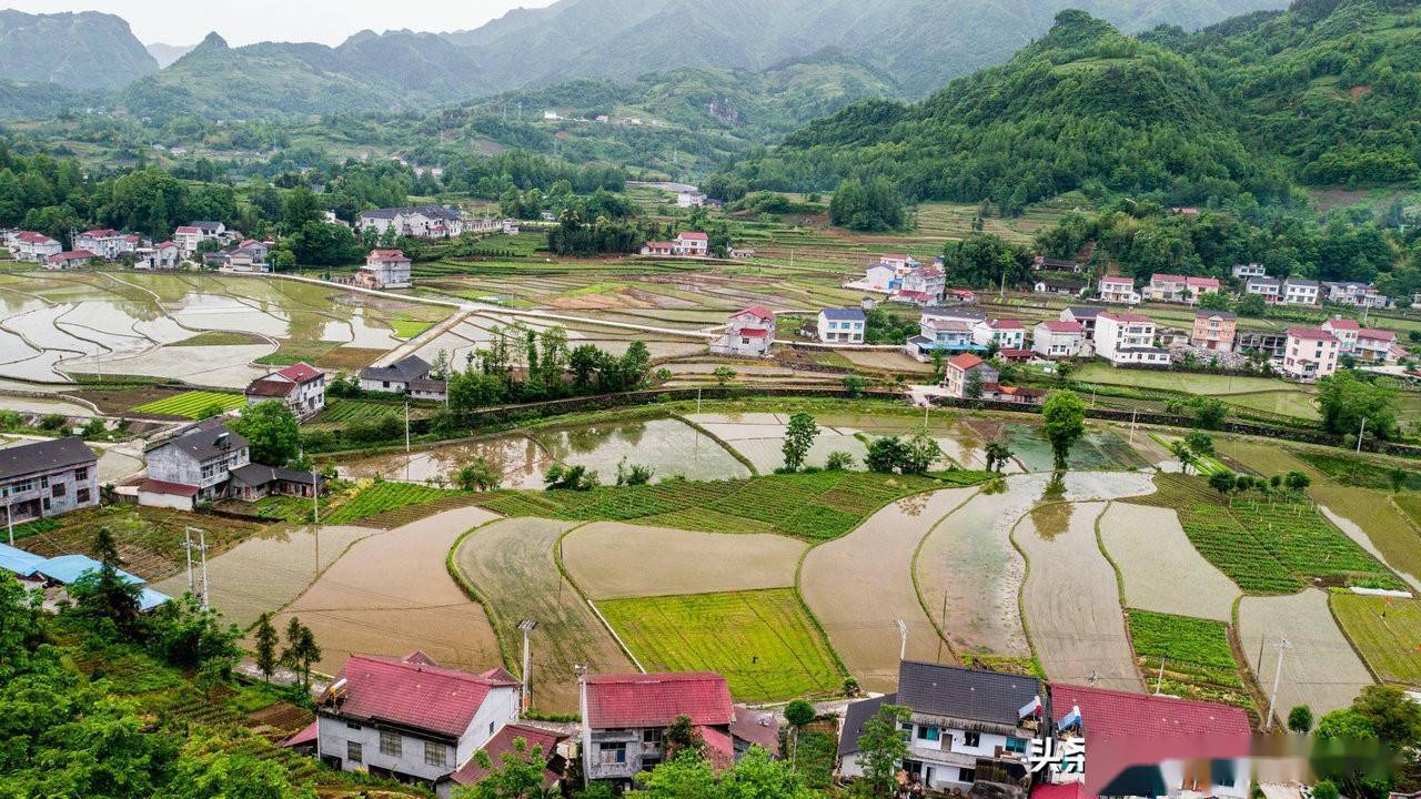 湖北鹤峰:乡村面貌展新颜