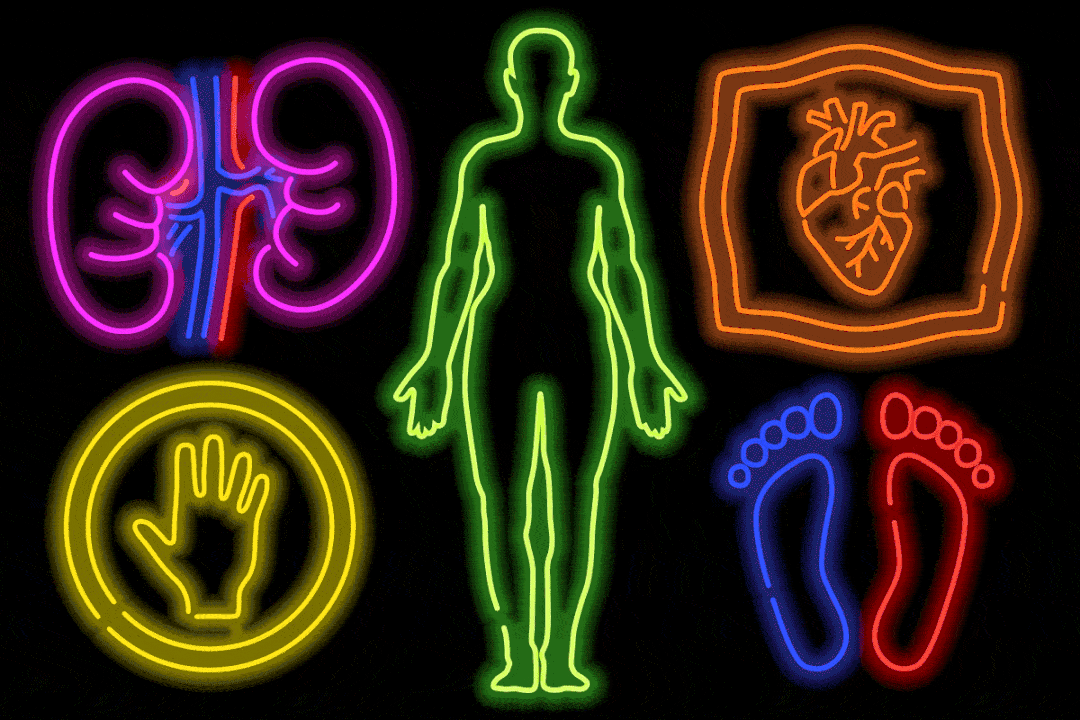 《说文解字》第429课: