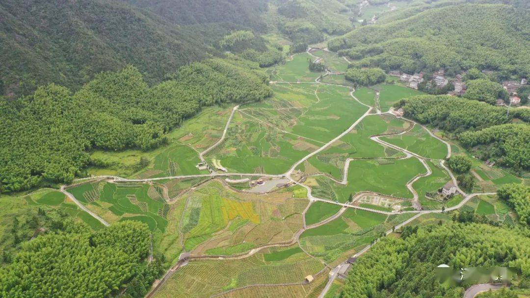 花开泽雅大美北林垟