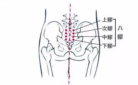 女人不做三伏灸,今年最大的遗憾!5大理由,你一定得知道!