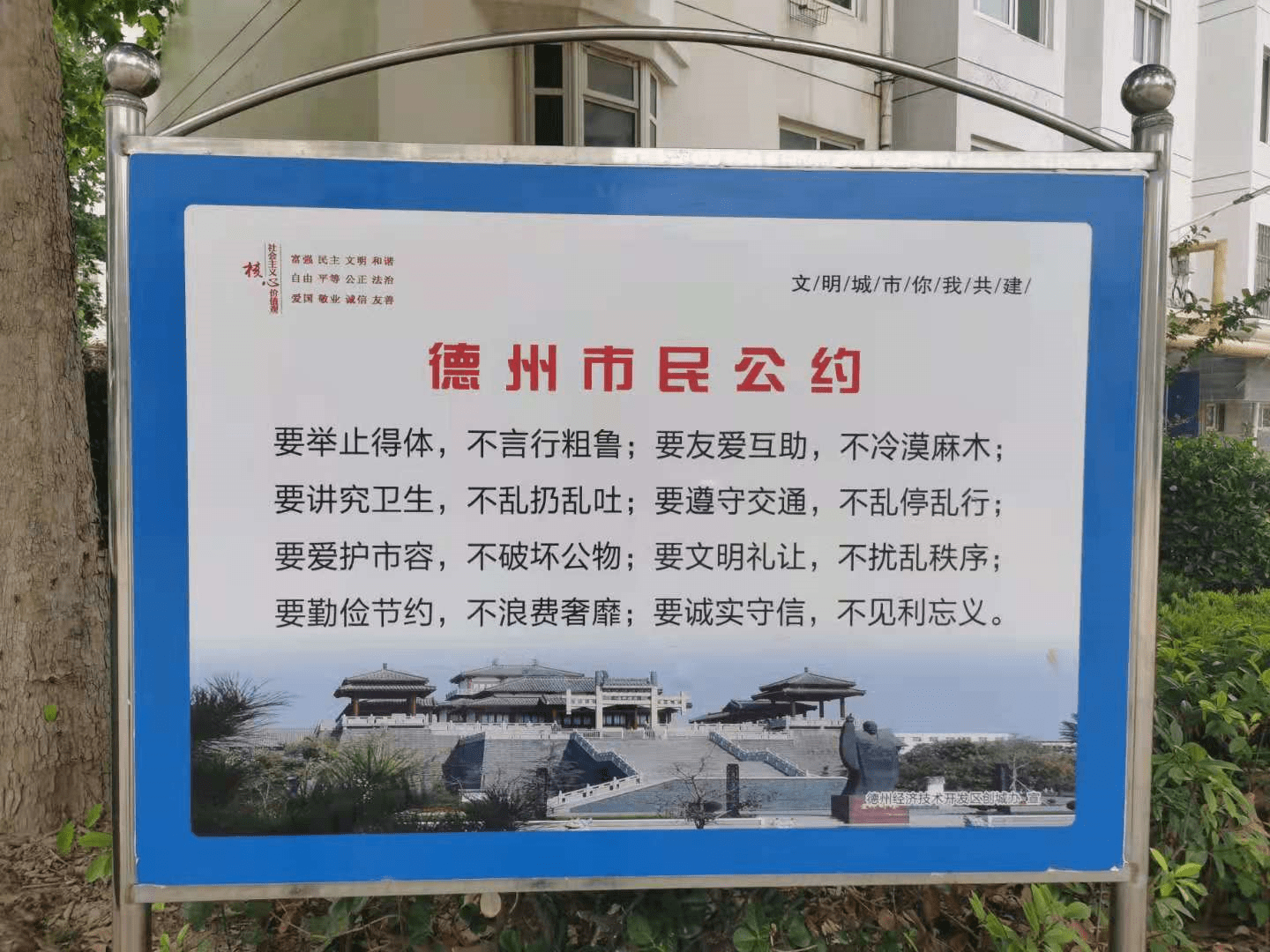 创建文明城市丨社区篇