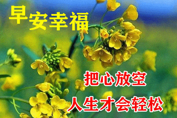 最漂亮早上好动态表情图片大全,早晨好动图美图大全