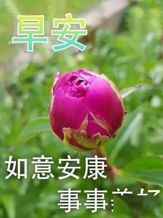 中老年表情包,舞友们早上好,别管年龄大小,只要开心就好!