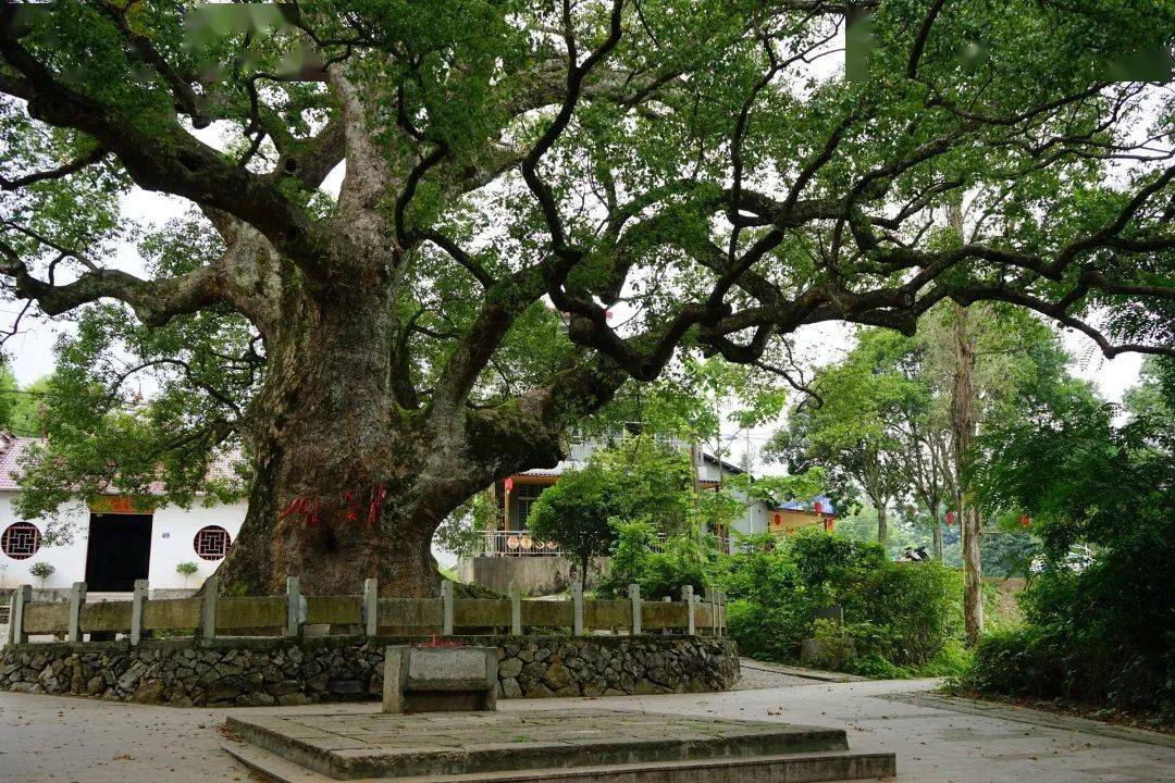闽北美景|建阳:这条"年轻"的古街,邀你进入"一小时