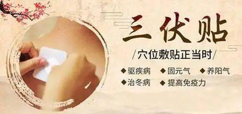 三伏贴开贴啦, "冬病夏治"受追捧!