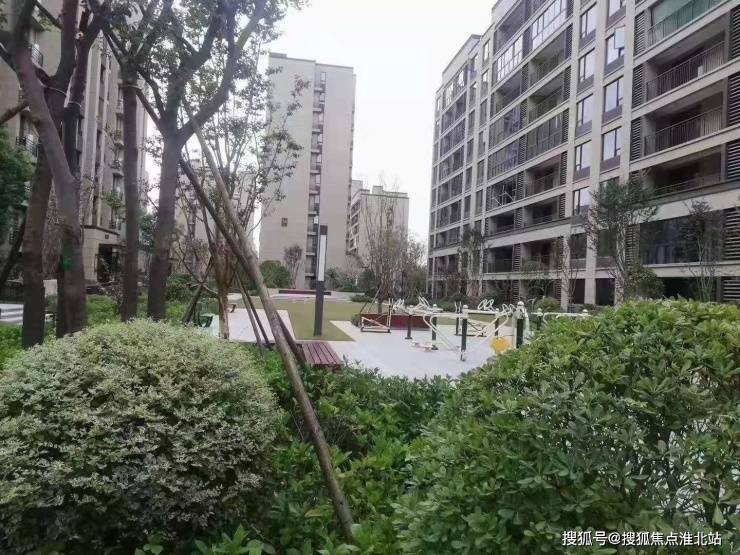 阳光城最新消息今天全部 9c497695070d469b9501830a6ddca339.jpeg