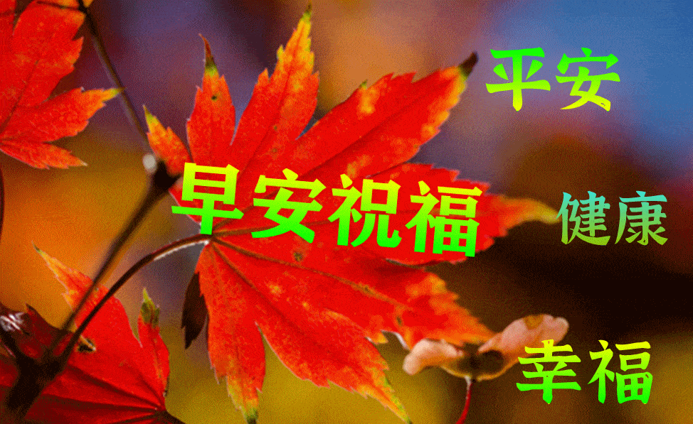 7月12日最漂亮早上好动态表情图片大全,早上好动图美图大全