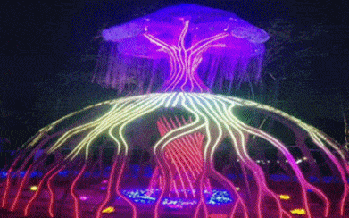391_244gif 动态图 动图