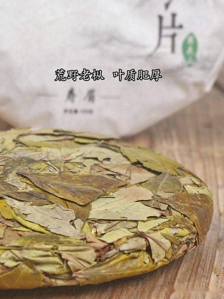 福鼎白茶2015年高山黄金叶荒野老枞大叶冬片寿眉老白茶饼300g