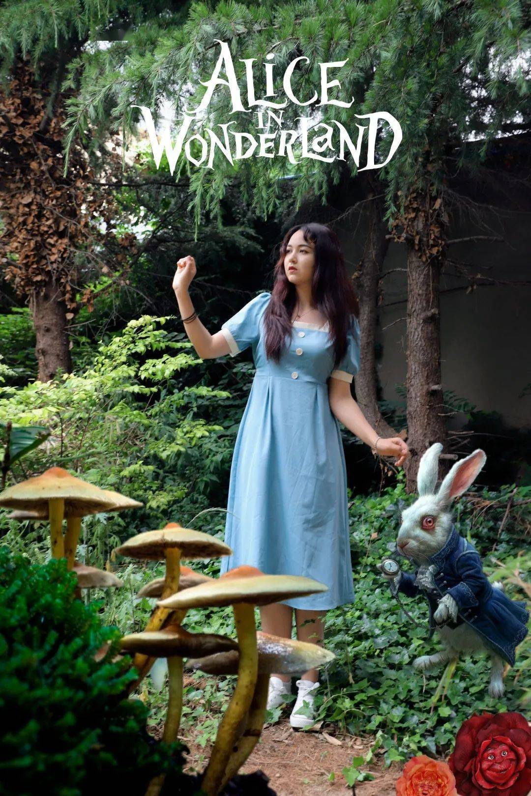 《 wonderland》