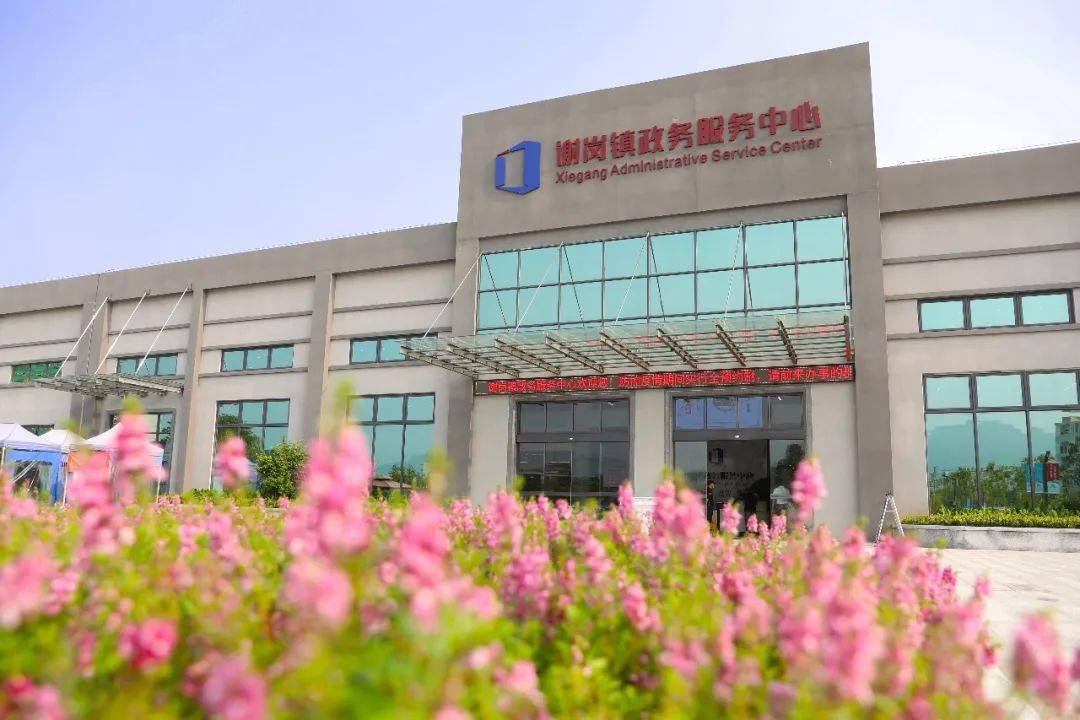 我为群众办实事|谢岗镇政务服务中心:优化政务服务,提供一站式服务