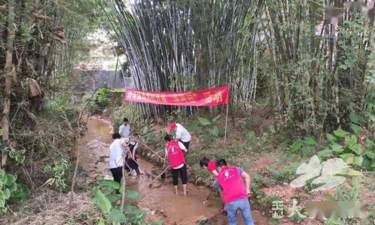 新时代文明实践北流市清湾镇志愿者开展清河行动守护绿水青山