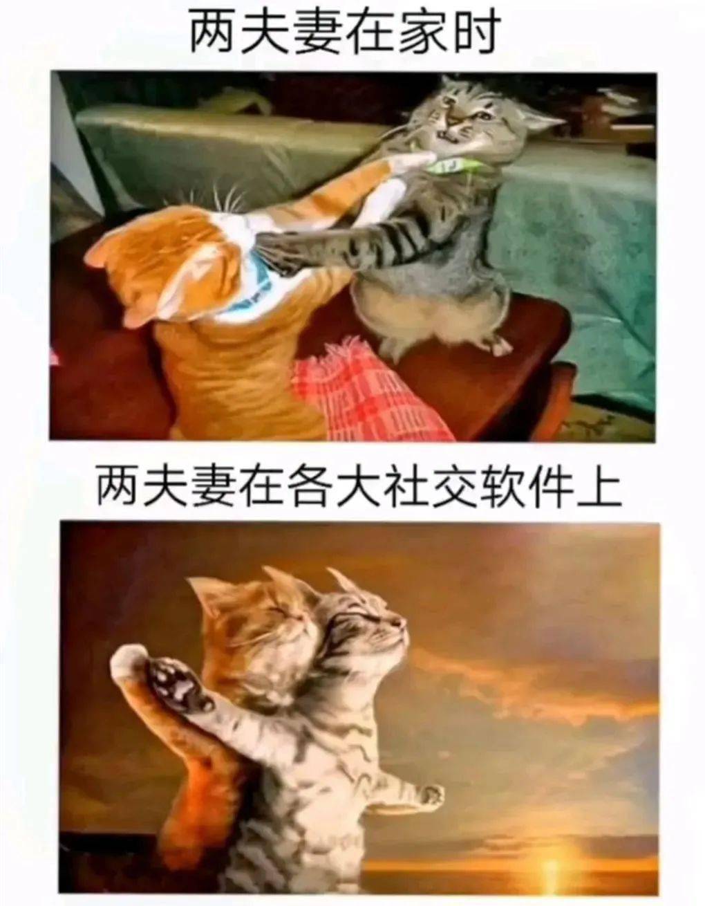 两夫妻在家时 两夫妻在各大社交软件上