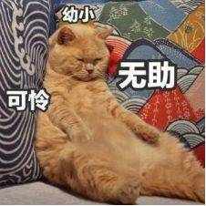 1b4f69a2de4f4f8e9bf47b73bed77dd7.jpeg
