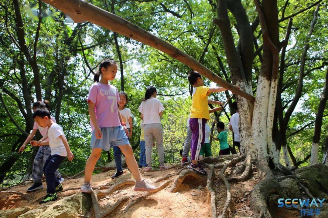 暑期特价研学来大夫山户外探索玩大地艺术游戏学习实践lnt法则探寻