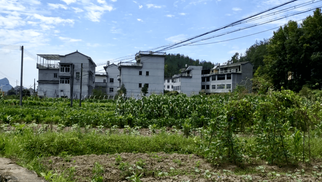 永康村和村的差距原来这么大.