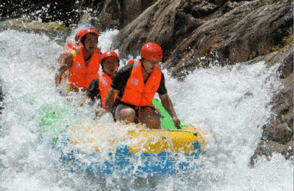 423_276gif 动态图 动图