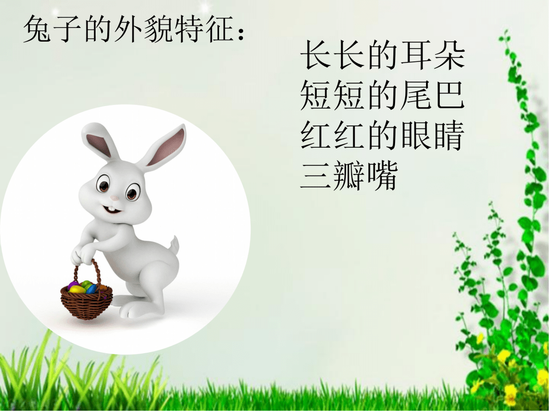 【教学设计ppt】小兔子乖乖